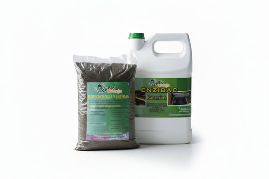 ENZIBAC + BIOTECNOLOGÍA Y ENZIMAS - Combo tratamiento biologico total